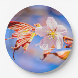 Plato De Papel Rosa Sakura Flower Blue Sky
