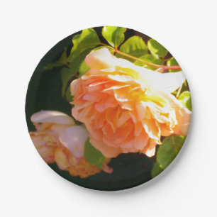 Plato De Papel Rosas de Country Peach