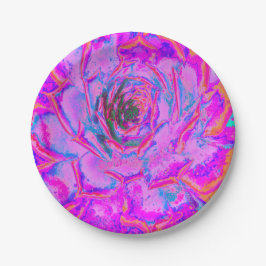 Plato De Papel Rosette de sedum con sabor morado y magenta
