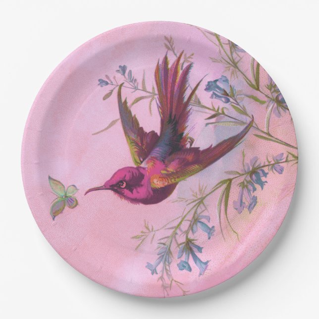 Plato De Papel Rosy Red Hummingbird (Anverso)