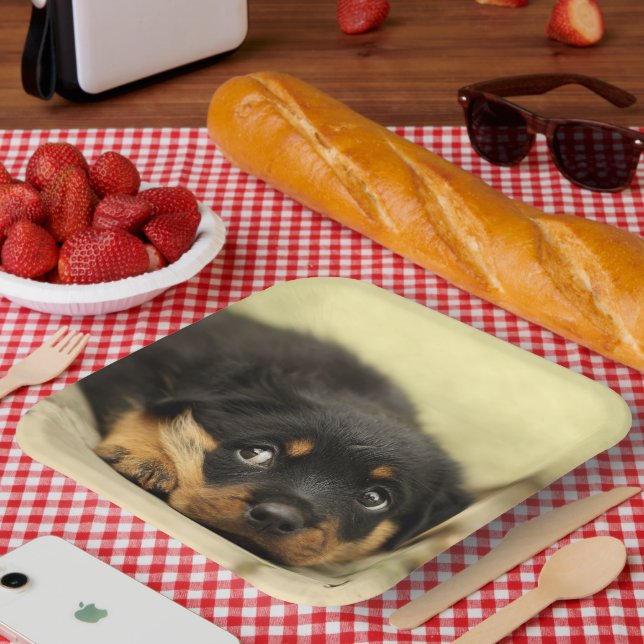 Plato De Papel Rottweiler Puppy (Picnic)