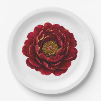Plato De Papel Royal Persian Gold Filigrana | Botánica de Lujo