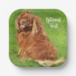 Plato De Papel Ruby Cavalier King Charles Spaniel Dog
