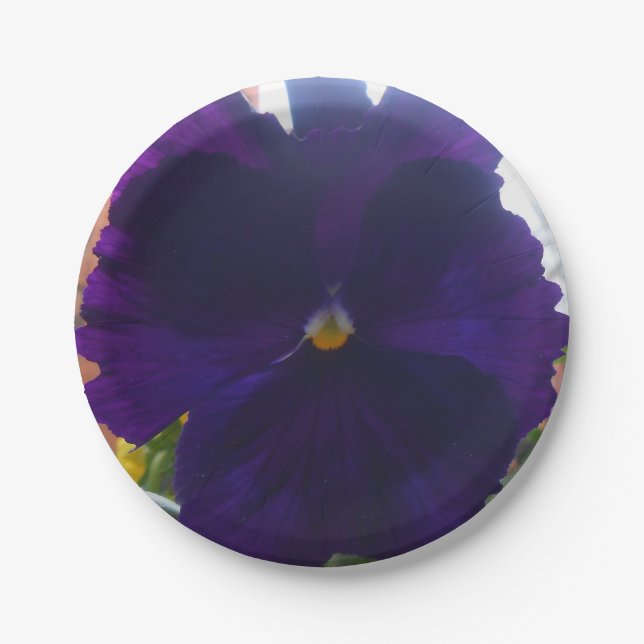 PLATO DE PAPEL S (Anverso)