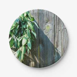 Plato De Papel Sage Barn-wood de corte fresco