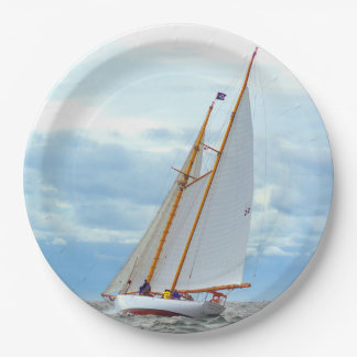 Plato De Papel Saliente en lo brillante