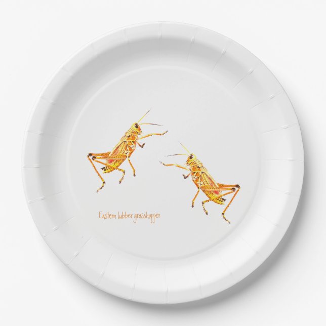 Plato De Papel Saltamontes de lubber del este    (Anverso)