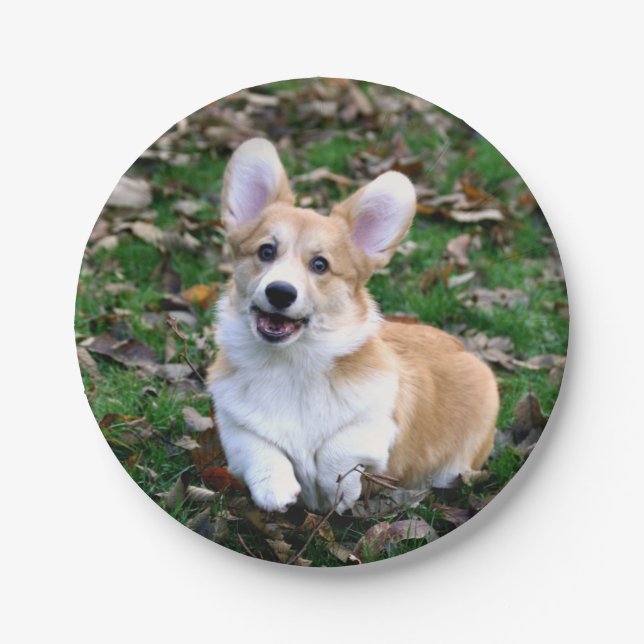 Plato De Papel Salto de Perro Corgi Cute (Anverso)