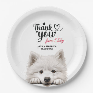 Plato De Papel Samoyed