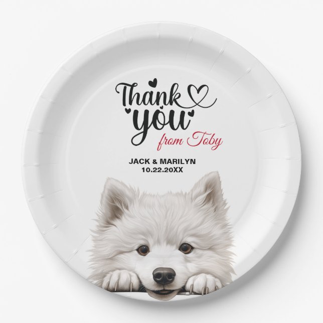 Plato De Papel Samoyed (Anverso)