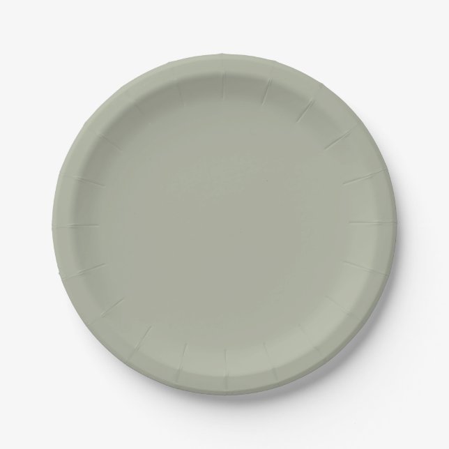 Plato De Papel Saybrook Sage Color Sólido (Anverso)