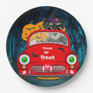 Plato De Papel schnauzer Dog Drin Car Scary Halloween