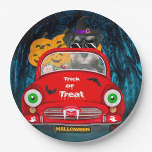 Plato De Papel schnauzer Dog Drin Car Scary Halloween