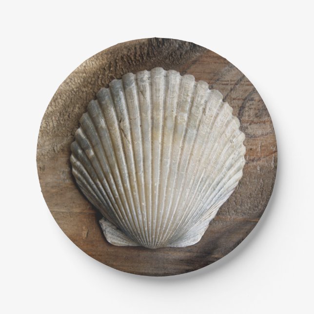 Plato De Papel Seashell - Placa de papel (Anverso)