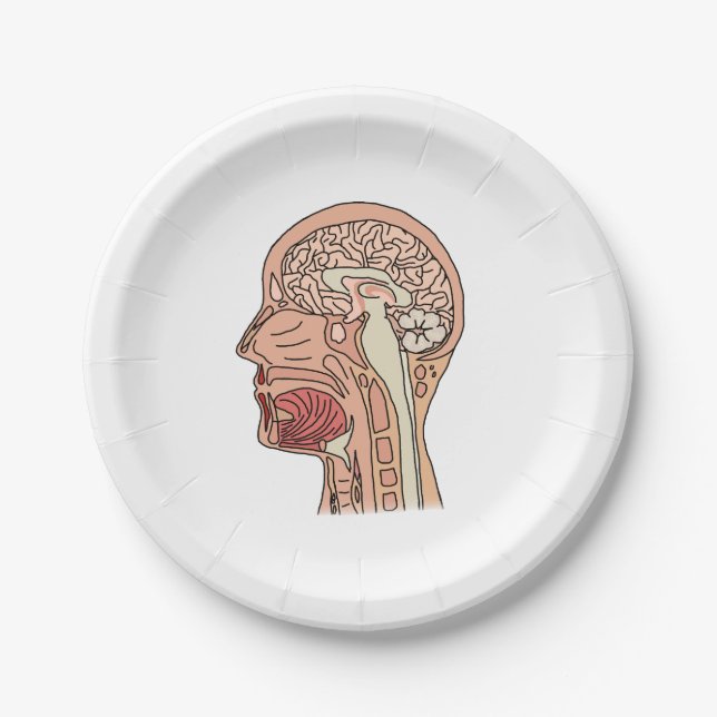 Plato De Papel Sección transversal cerebral midsagital (Anverso)