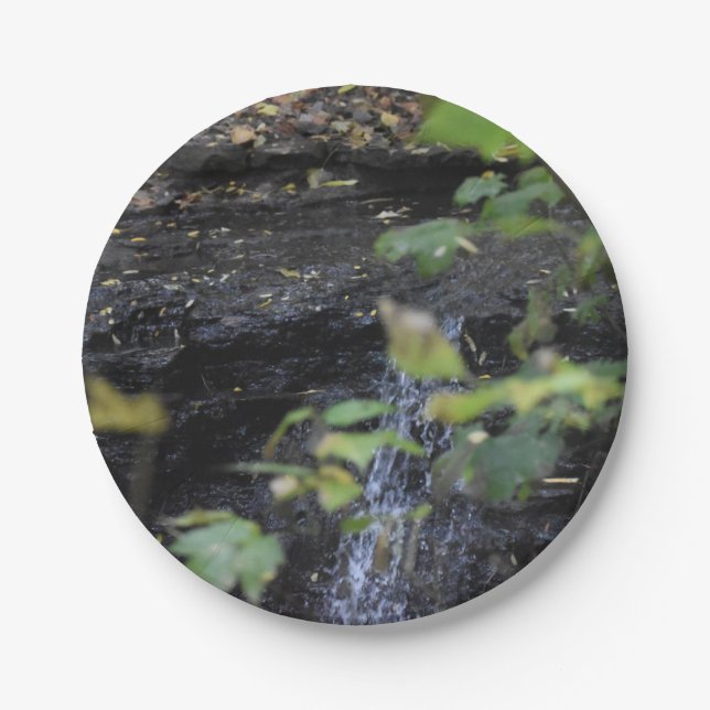 Plato De Papel Secuencia no vista (Anverso)