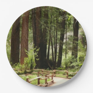 Plato De Papel Sendero de Muir Woods I Fotografía de la naturalez