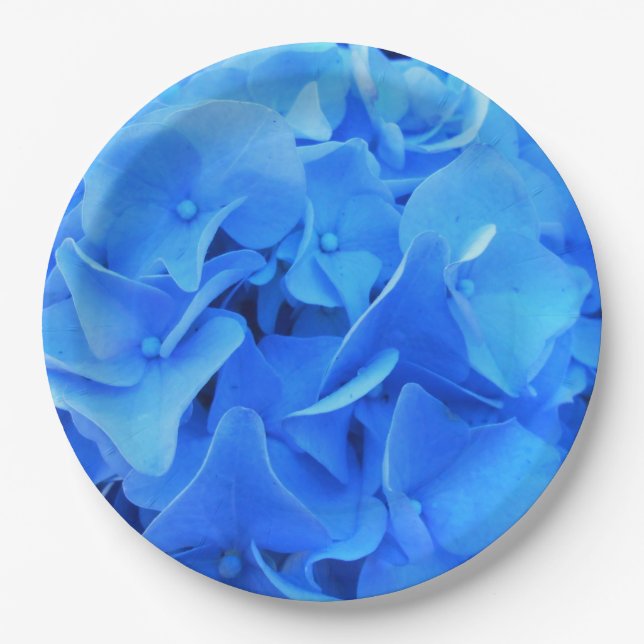 Plato De Papel Serafina (Anverso)
