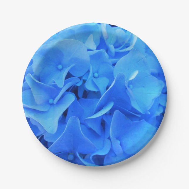 Plato De Papel Serafina (Anverso)