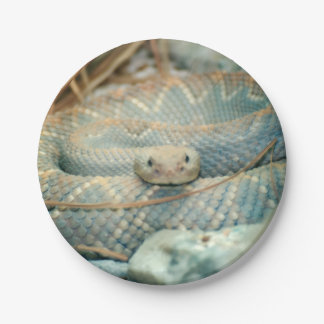 Plato De Papel Serpiente