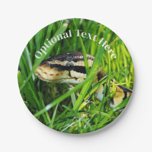 Plato De Papel Serpiente de Ball Python en la hierba