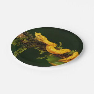 Plato De Papel Serpiente de veneno de Costa Rica