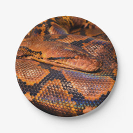 Plato De Papel Serpiente Python