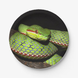 Plato De Papel Serpiente verde para los amantes del reptil