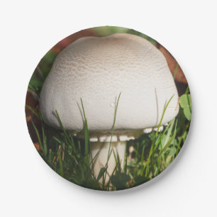 Plato De Papel Seta de campo