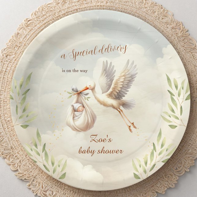 Plato De Papel Sexo de entrega especial: Baby Shower Neutral Stor (Special Delivery Gender Neutral Stork Baby Shower Paper Plates)