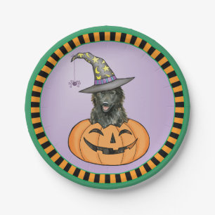 Plato De Papel Sheepdog belga de Halloween