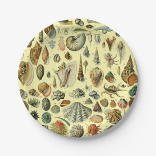 Plato De Papel Shell de conchas marinas Mollusk Clam Elegante Art