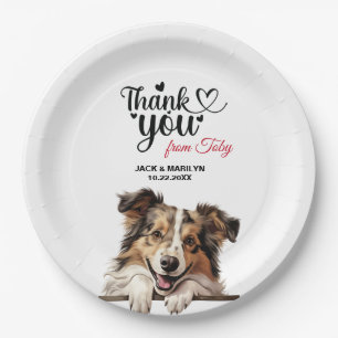 Plato De Papel Shetland Sheepdog Boda Gracias