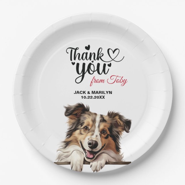 Plato De Papel Shetland Sheepdog Boda Gracias (Anverso)