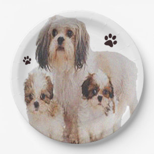 Plato De Papel Shih-tsu