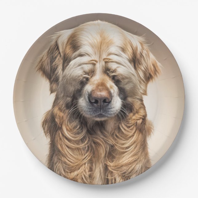 Plato De Papel Shy Golden Retriever (Anverso)