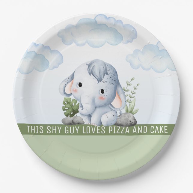 Plato De Papel Shy Guy Birthday Paper Plate (Anverso)