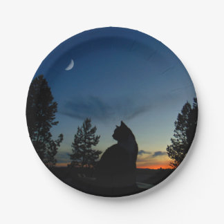 Plato De Papel Silueta