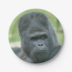 Plato De Papel Silverback Dishi