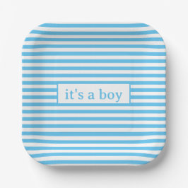 Plato De Papel Simple Baby Blue and White Strips