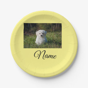 Plato De Papel Simple colorful animal add name photo custom throw