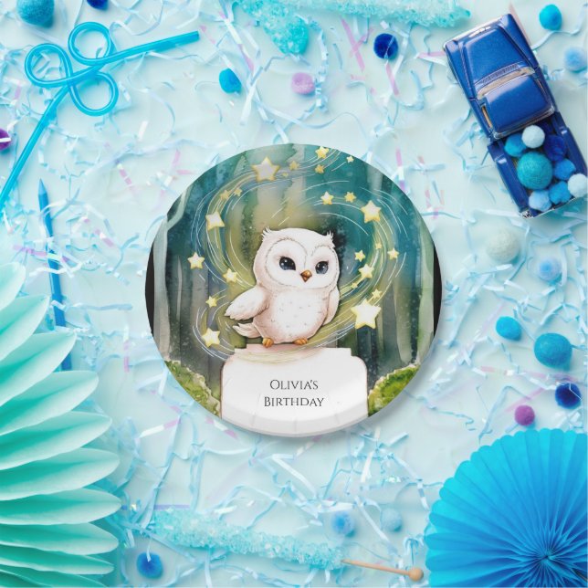 Plato De Papel Simple en el cumpleaños de la lechuza de Woods (Fiesta)