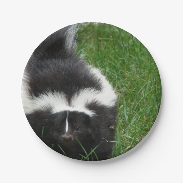 Plato De Papel skunk-2 (Anverso)