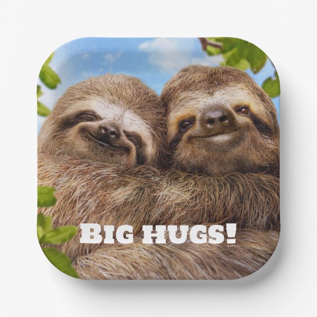 Plato De Papel Sloth Couple (Anverso)