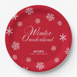 Plato De Papel Snowflakes Winter Niño de Tierra Nacida