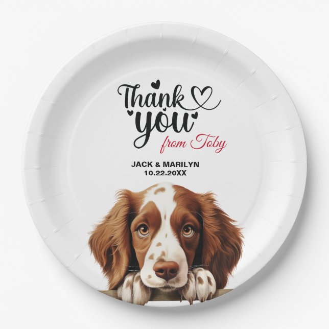 Plato De Papel Spaniel de Springer galés (Anverso)