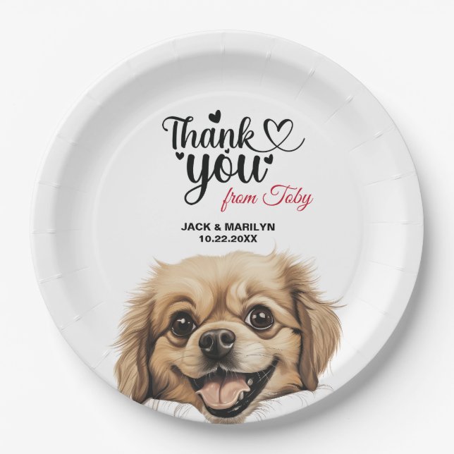 Plato De Papel Spaniel Tibetano (Anverso)