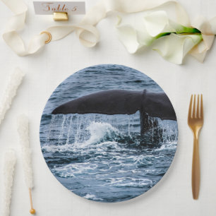 Plato De Papel Sperm Whale