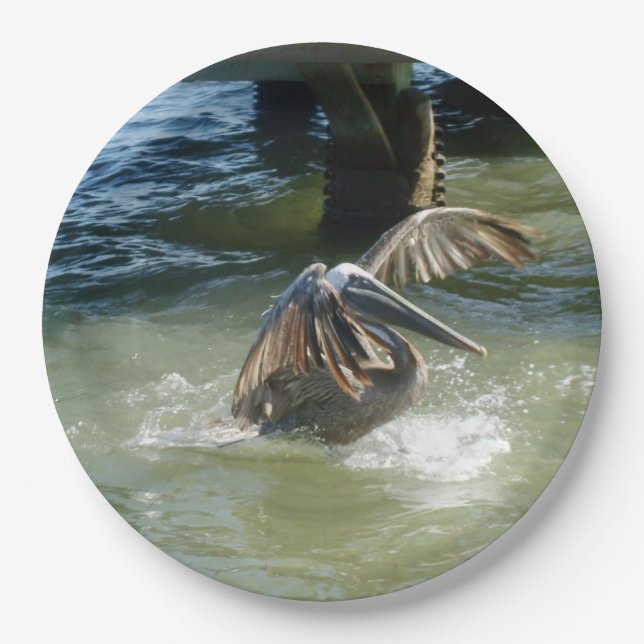 Plato De Papel Splashdown (Anverso)