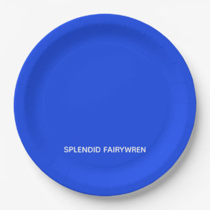 Plato De Papel Splendid Fairywren Blue Color Name